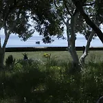 Oleja * Split