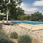 Oleja Tatil Evi *