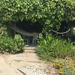 Tatil Evi Oleja *