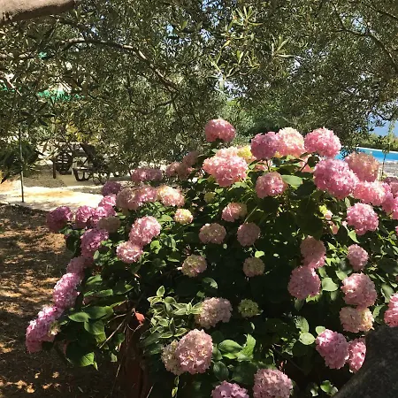 Oleja Hébergement de vacances *