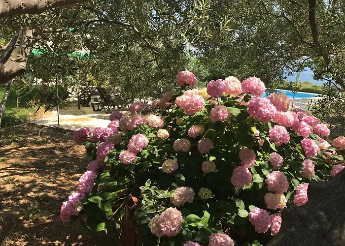 Holiday Oleja 펜션 *