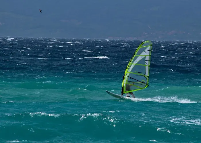 Oleja Split